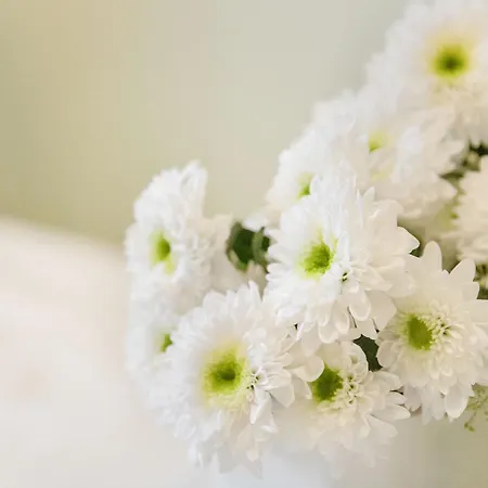 Chesa Ova Cotschna 306 By Interhome Apartment *