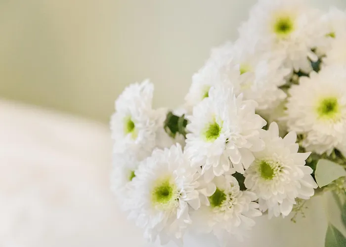 Chesa Ova Cotschna 306 By Interhome Апартаменты *